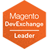 DevExchange Leader