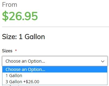 actual-price-for-each-option.jpg