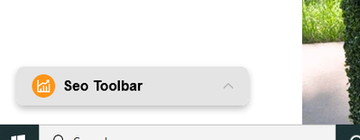seo toolbar on stage server.png