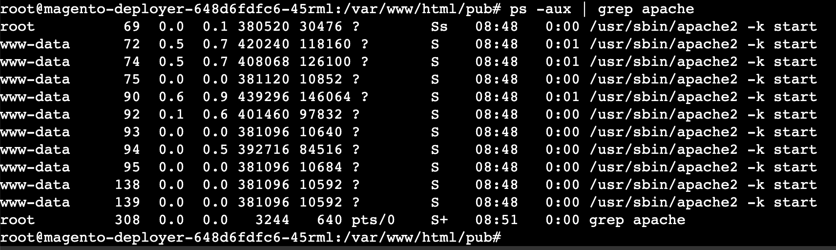 Directory /var/www/html/pub/media cannot be create... Magento Forums