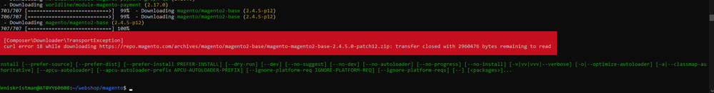 2025-07-10 12_16_49-Window.png