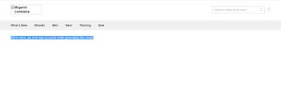 frontend error.jpg