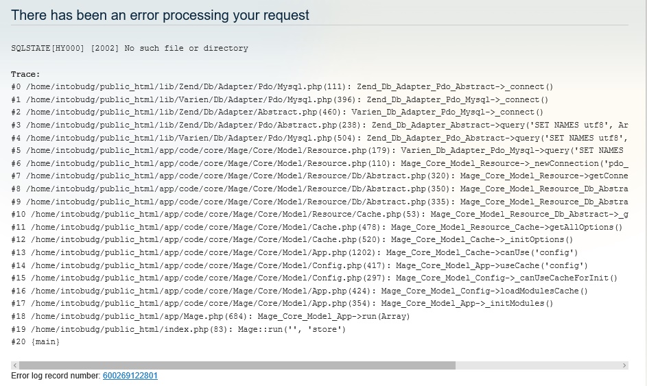 There has been an error processing your request