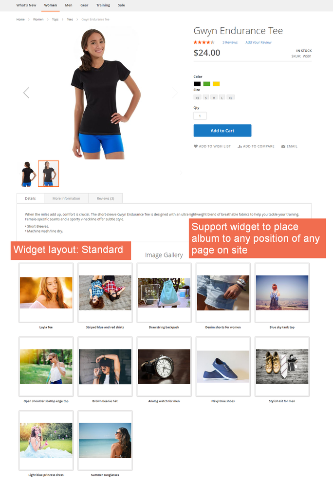 Image Gallery_widget layout standard.png