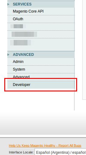 Advanced -> Developer