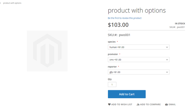 simple-product-with-options-frontend.png